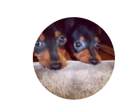 ボートレーサーのSNS 石野貴之