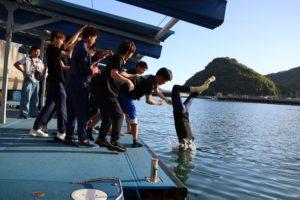 水神祭 その意味や由来などを紹介