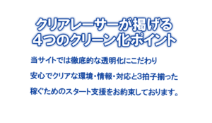 クリアボート 指摘点
